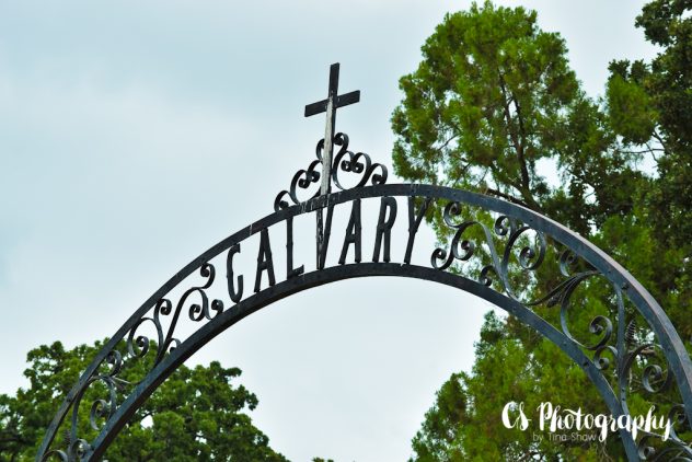 2016-08-16 Oakwood Cemetery #SYPWCemeteryArt 021