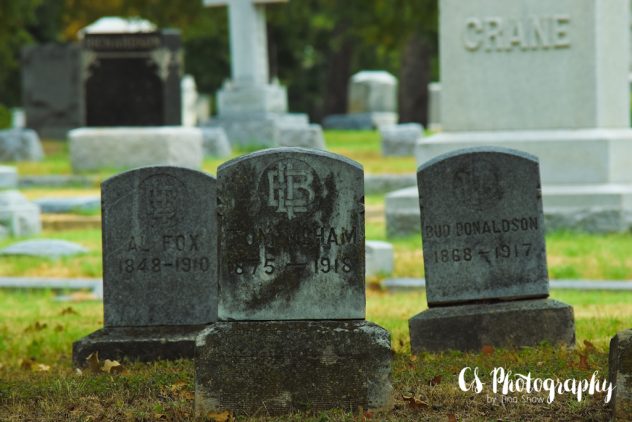 2016-08-16 Oakwood Cemetery #SYPWCemeteryArt 054